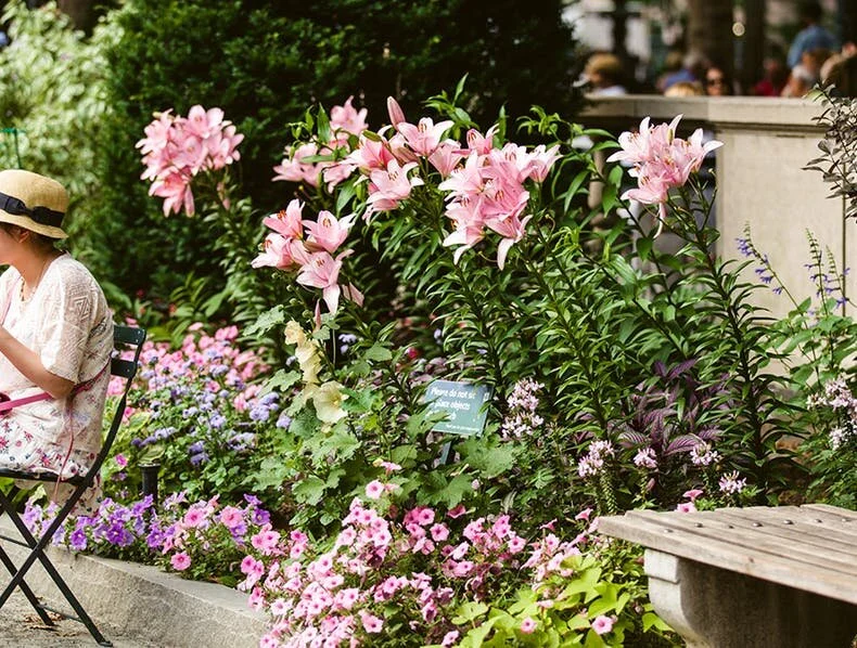 Bryant Park